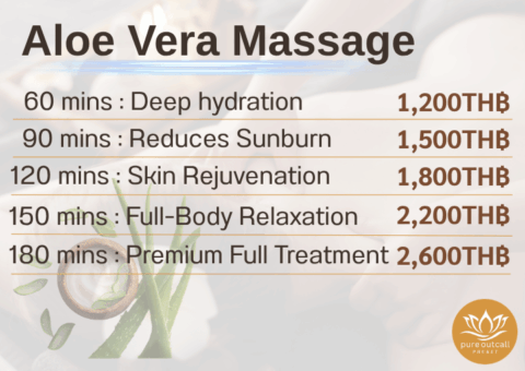 08 Aloe Vera Price 08 Aloe Vera Price